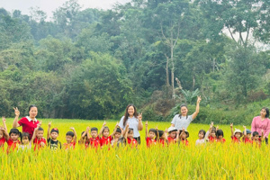 Trải nghiệm thăm cánh đồng lúa quê hương của các bé phân hiệu Mầm non Tràng Các